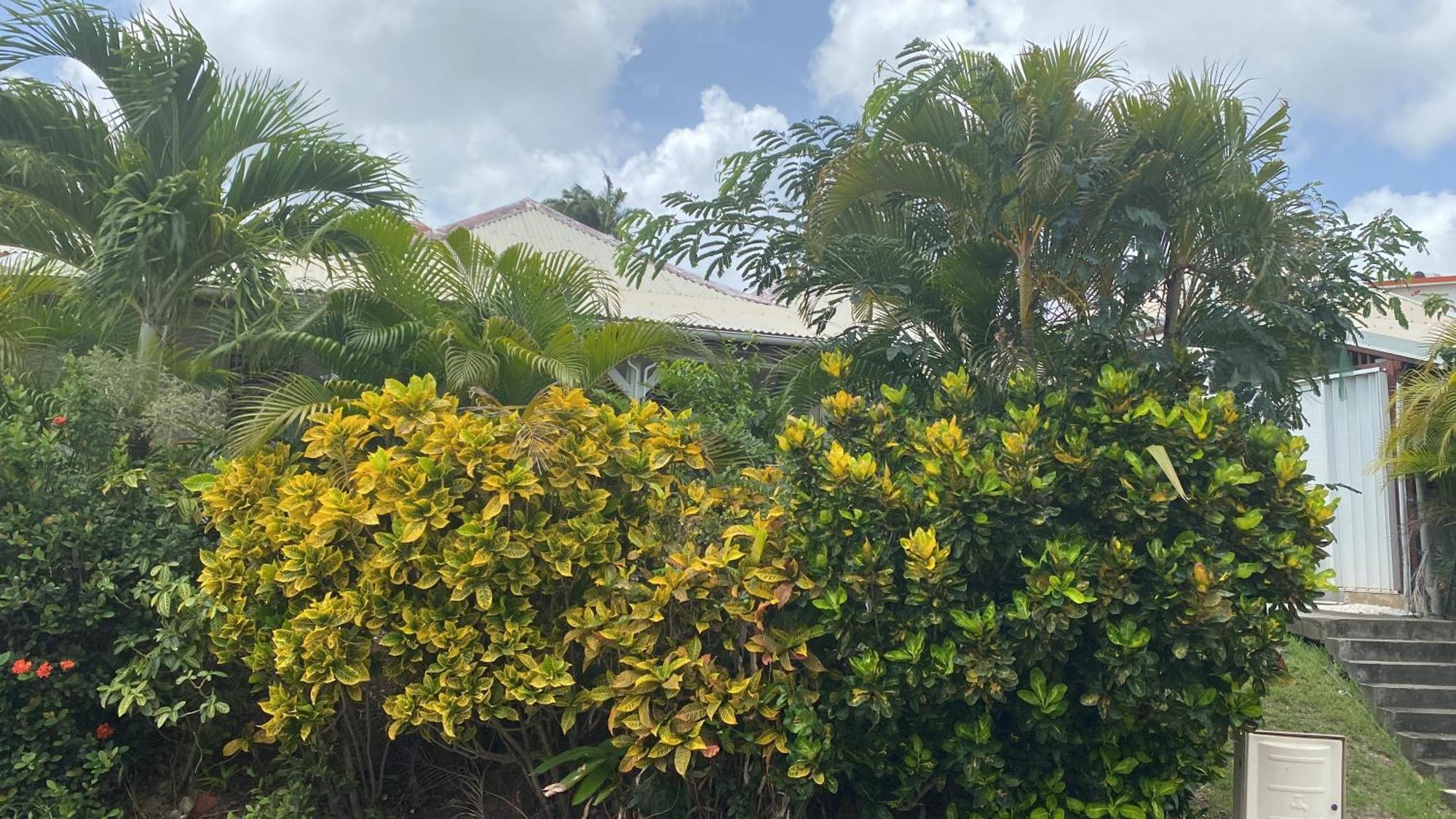 Bungalow Belfond Plage Pointe Marin سانت آن المظهر الخارجي الصورة